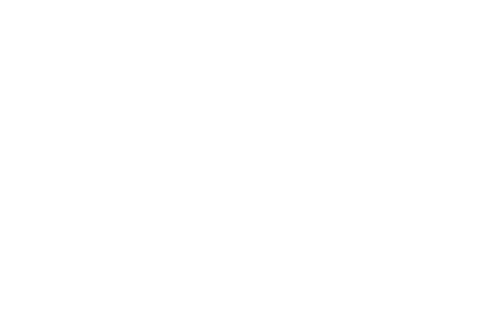 PREMIO ROCA